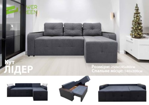 "Лідер" 250*145